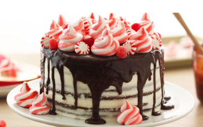 Peppermint Chocolate Layer Cake with Chocolate Ganache
