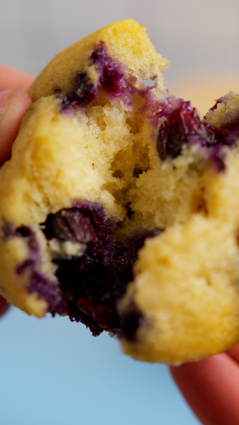 Gluten-Free Blueberry Bread & Muffin Mix