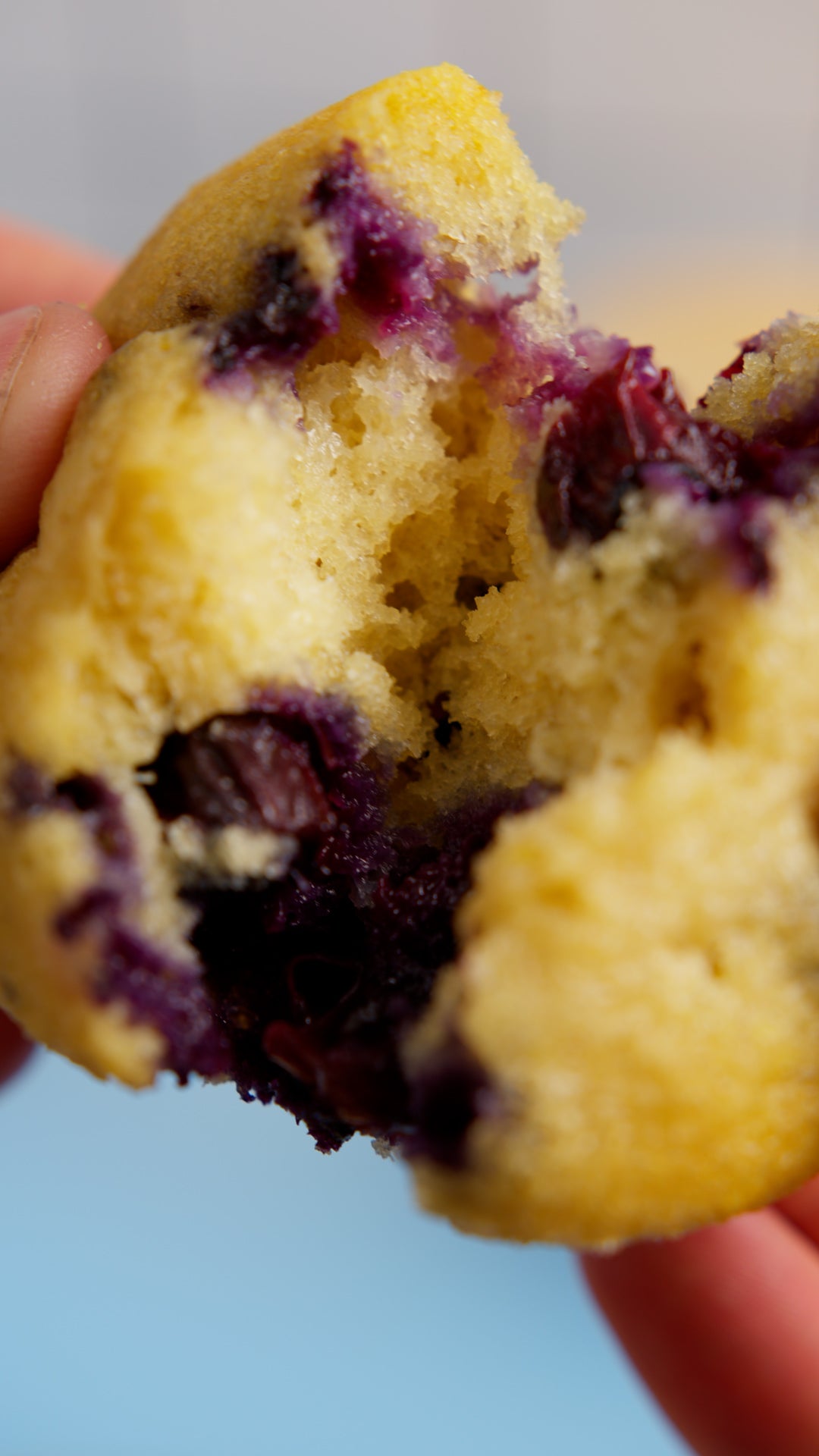 Gluten-Free Blueberry Bread & Muffin Mix