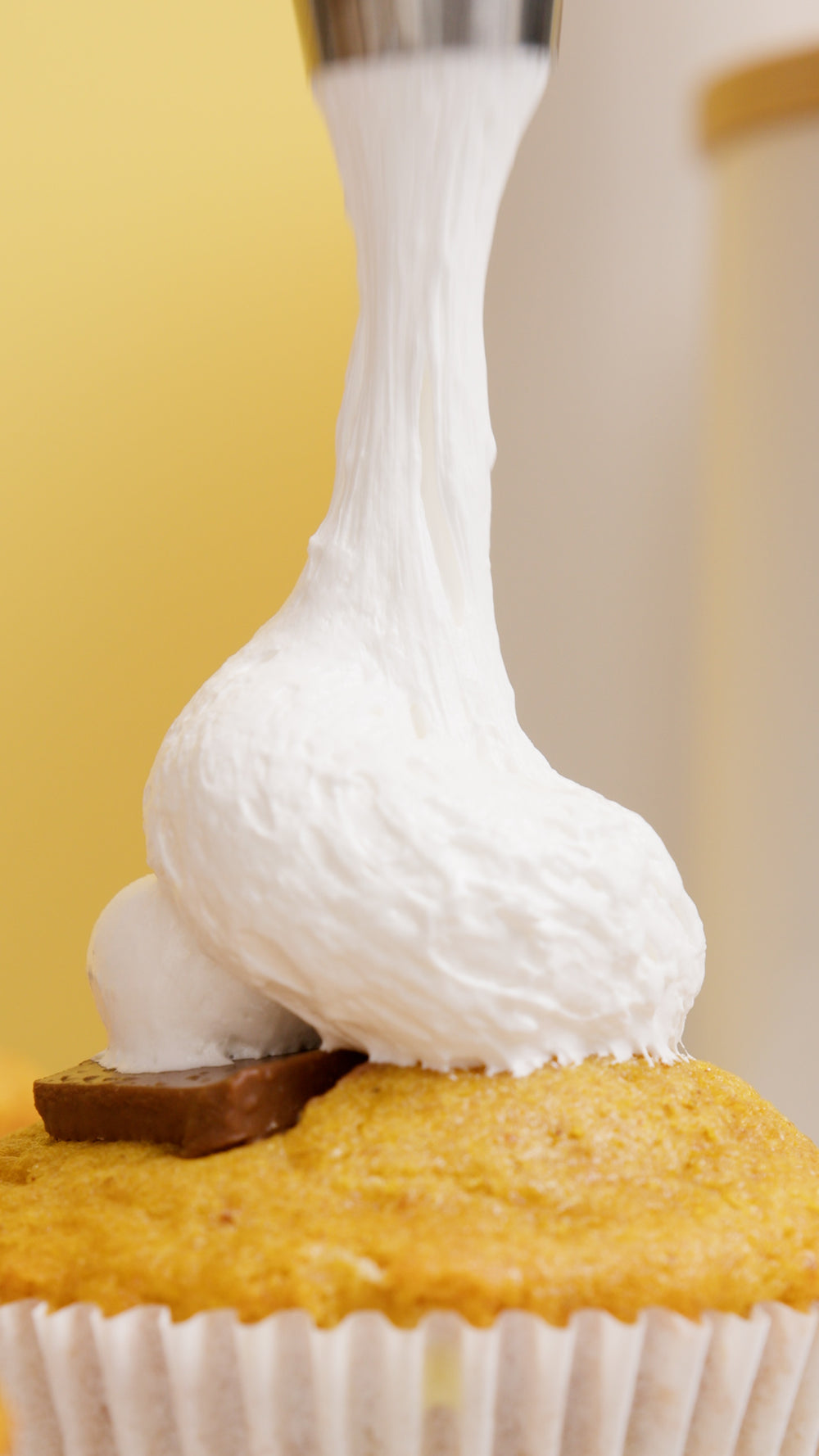 Organic Pumpkin Bread, Muffin, Cookie & Pancake Mix