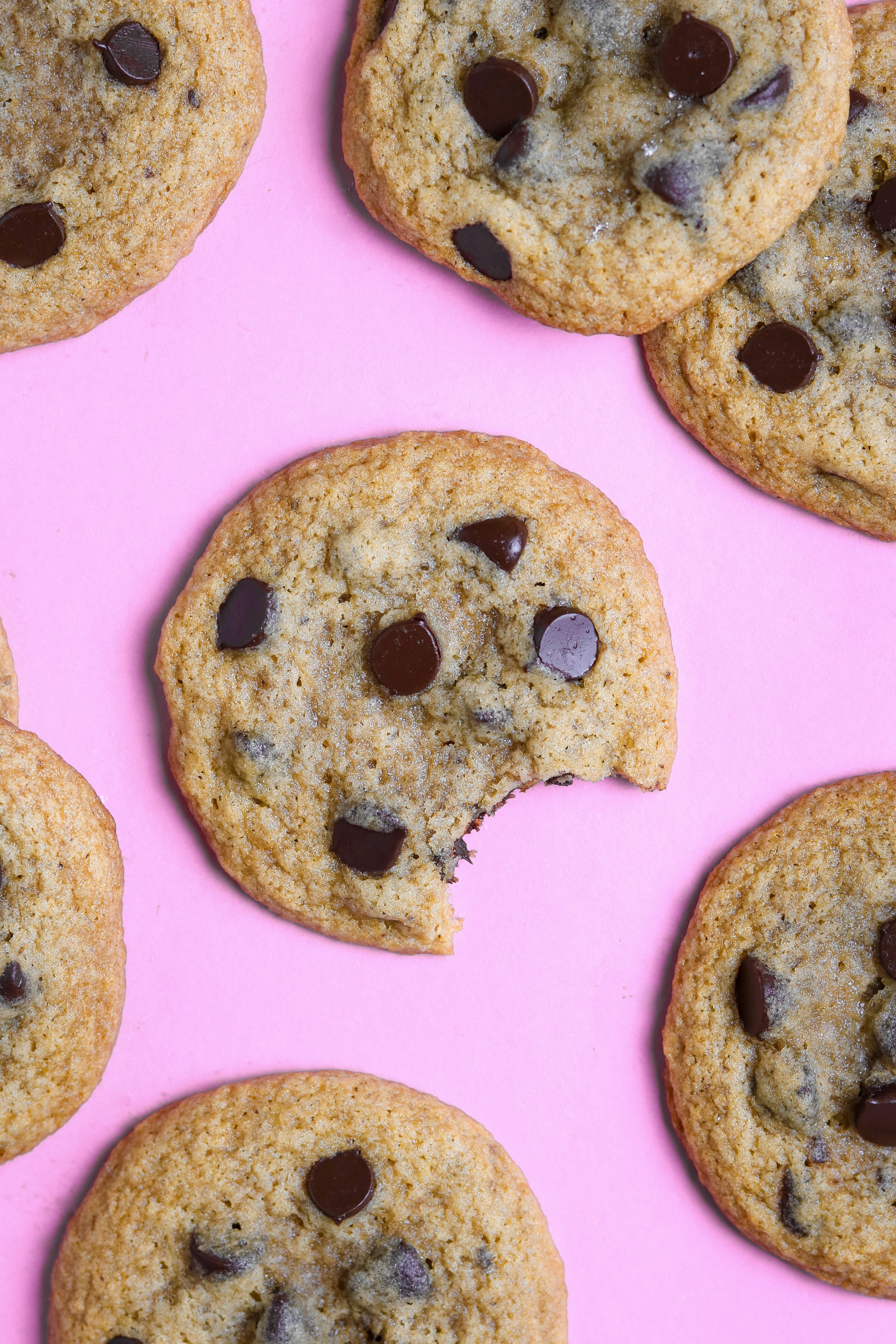 biscuit　レディース　GB XS Jumbo Bakery Style Double Chocolate Chip Cookie Dough – Miss Jones